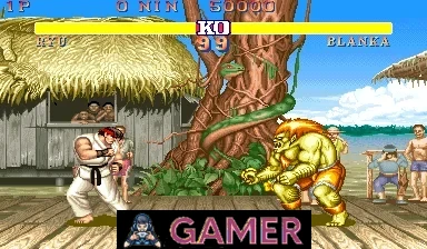 Street Fighter II: The World Warrior